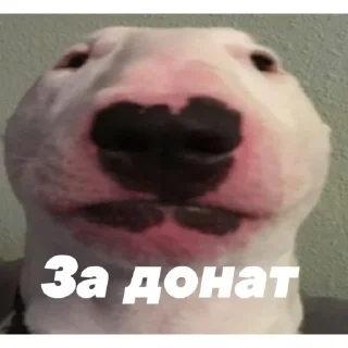 🎁