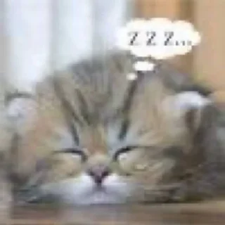 💤