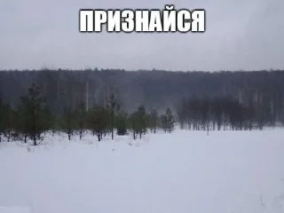 🧄