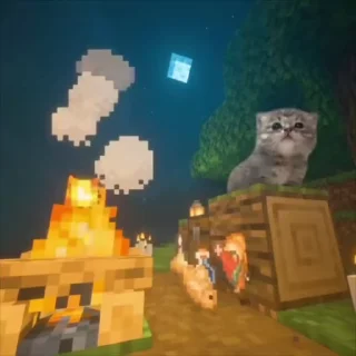 🌟