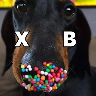 🐣
