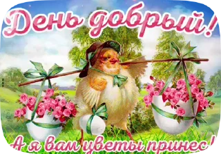 🐦