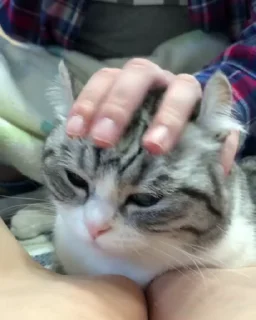 😭