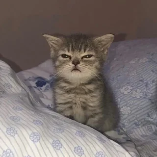 🤨
