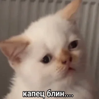 😞