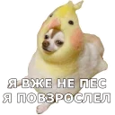 💪