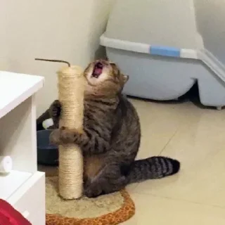😞