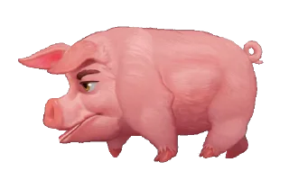 🐖