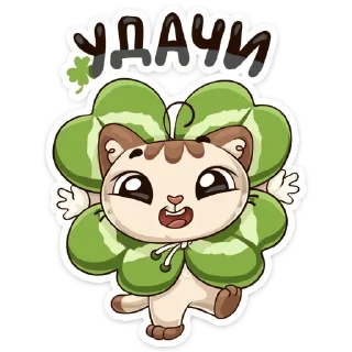 🍀