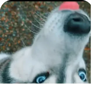 👍