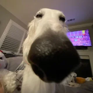 😑