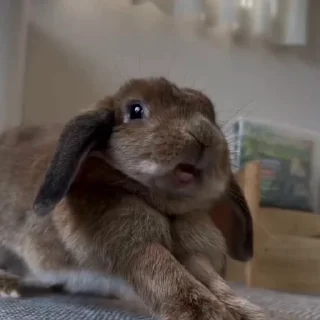 🥱