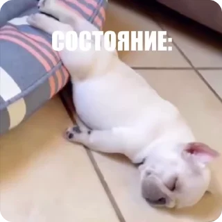 😶