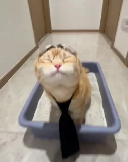 😝