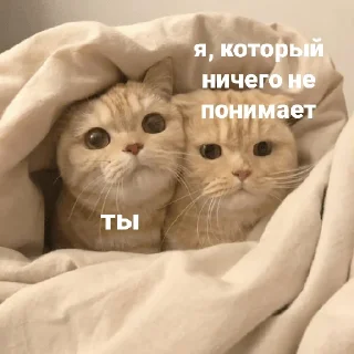 🤨