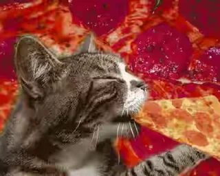 🍕