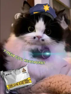 💩