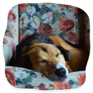 😴