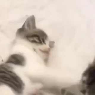 😡