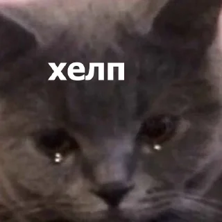 😥