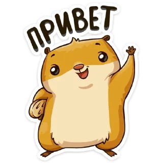 Сеня :: @stickroom