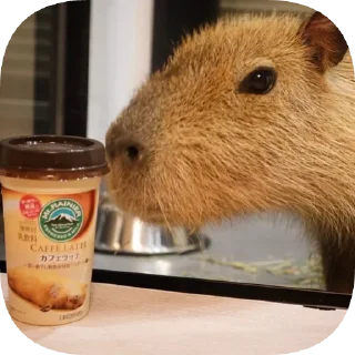 ☕