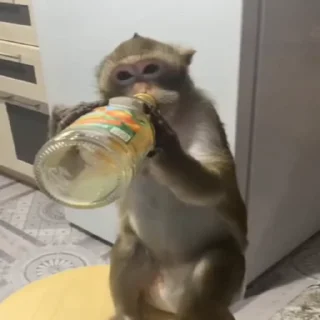 🍷