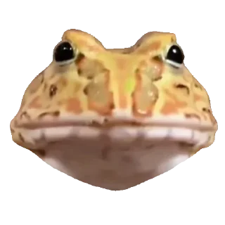 Toad @SbornikStickers