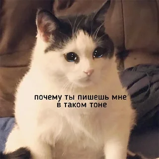 😥