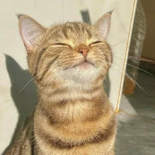 ☺️