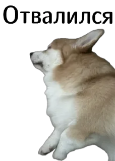 🌚