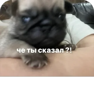 🤡