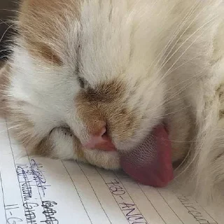 😵