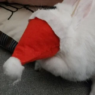🎅