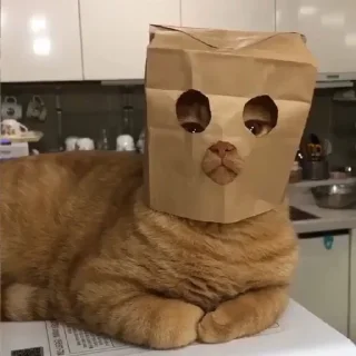 😑