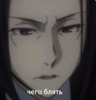 бродячие псы