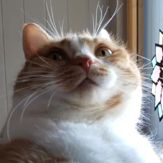 😐