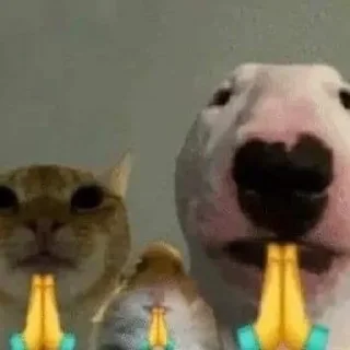 🙏