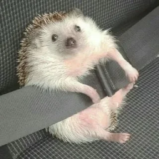 🚘