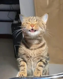😁