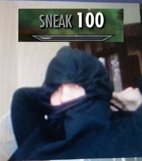 🕵️