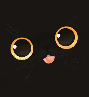 🤩