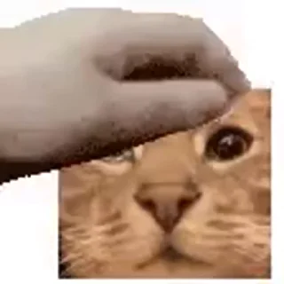 🥺