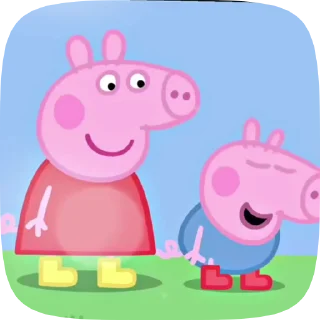 🐷