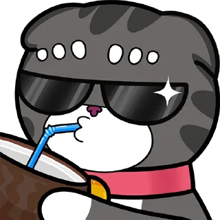 😎