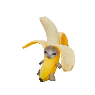 🍌