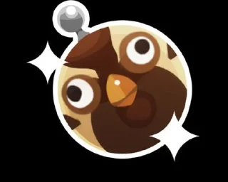 ⭐️