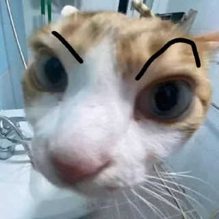 🤨