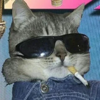 😎