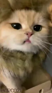 😉